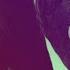 Charlie Puth We Don T Talk Anymore Slowed Acoustic Lyrics