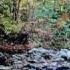 The First Of Autumn Enya