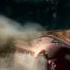 Official SplitSecond Video Game HD TV Launch Trailer