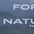 The Dance Of Nature