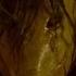 Saw 4 6 10 Movie CLIP Feel What I Feel 2007 HD