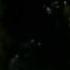 Independence Day TV Spot HD