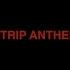 South Strip Strip Anthem Official Music Video Allbut6