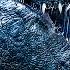 GODZILLA 1998 The Epic Brooklyn Bridge Finale 4K