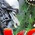 Indoraptor Vs Xenomorph Dinosaur Battles Stop Motion