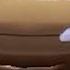 Cars The Video Game Tourists Voice Clips Russian