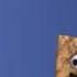 Cinnamon Toast Crunch Bump Disneys Wish Commercial 2023 2009