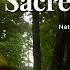 Sacred Chants Nature S Path To Spiritual Connection