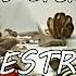 ONLY DESTRUCTION ALL SCENES Cadbury S Creme Egg Here Today Goo Tomorrow 2008 UK