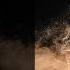 Rocket Lab VICTUS HAZE Launch