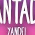 Yandel Encantadora