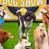 We Host Our Own Dog Show