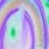 Cars Simsek Araba Part 2 Inverted Normal Color Backwards Flipped