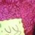 Spongebob S Terrible Bassinet Song Squidward Is My Best Fr