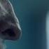 Saw X TV Spot U Pretzelcuatl HD Version