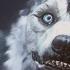 Resound Of The Dog Transformation From The Cancelled The Thing 2 Video Game