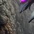 Godzilla Vs Gigan Rex