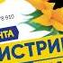 Мобильное приложение