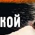 Нукера завели в дом в наморднике Знакомство с дедушкой Груминг Обрабатываем огромный шов Розы