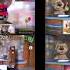 Talking Tom And Ben News Sparta Remix Superparison Remaked