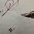 How To Sign The Letter O