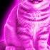 10 Happy Cat MeMe Sound Variations In 35 Seconds MODIFY EVERYTHING