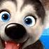 PUPPY DOG PLAYHOUSE 2 MORE PUPPY PLAYTIME GAME APP WITH HUNGRY HUSKY DALMATIAN AND CHOU CHOU