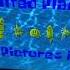 United Plankton Pictures Inc Nicktoons 1999