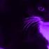 12 Maxwell The Cat Sound Variations In 40 Seconds I SebwanoSV