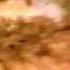 Taco Bell 2003 Television Commercial Spicy Chicken Burrito