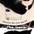 Maxwell The Cat Origin