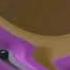 Zoopals In G Major 4664