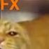 Mad Cat Burger And Fries But With Half Life Sound Effects