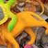 Toy Fun Surprises Unboxing Surprise Eggs Blind Bags Full Of Cute Jungle Animals
