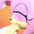 Meggy And Amy Rose Hugging Eachother SFM