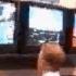 Sony At E3 Electronic Entertainment Expo 1995