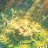 The Wizard S Quiet Glade Medieval Fantasy Music For Calm Focus
