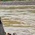 The Sounds Of GOLD