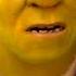 Shrek Forever After 2010 Happily Ever After Again 10 10 Movieclips