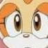What My Cutie Mark Is Telling Me Sonic Version