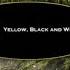 История заставок Выпуск 153 Yellow Black And White