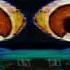 Klasky Csupo In G Major 1022 And 9 More To G Major 1056 Instructions In Description