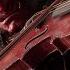 Violin Metal Storm Of Fury