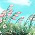 Sarrendes The Garden Of Hopes And Dreams