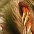 Altered Beast Moveset Showcase