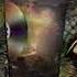 Godzilla VHS DVD Release Ad 2 1998