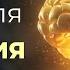 Эта нейросеть навсегда изменит ваш подход к обучению проверьте сами