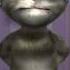 Talking Tom Singing Chinese Song