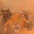 The Lion King The Stampede I 4K Ultra HD