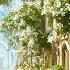White Village Pink Flower Castle 4K Fantasy Relaxation